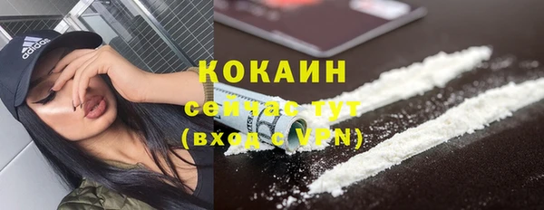 бошки Аркадак