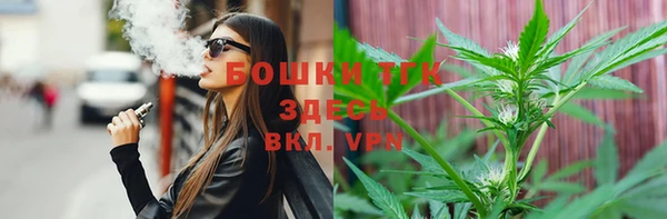 спайс Арсеньев