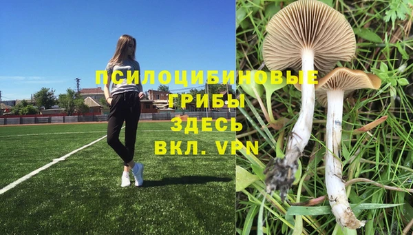 каннабис Армянск