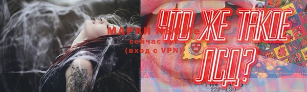 бошки Аркадак