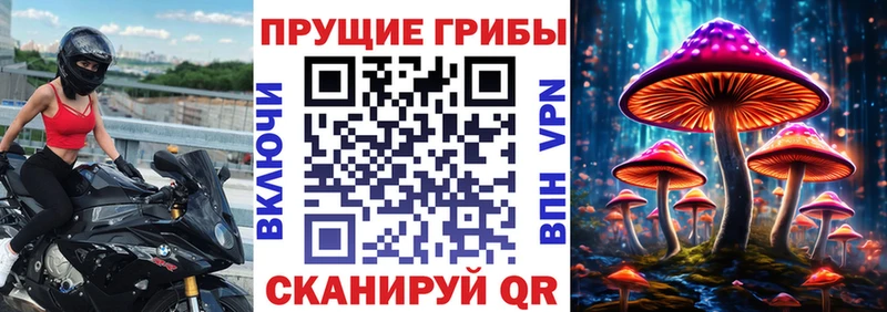 Псилоцибиновые грибы Psilocybine cubensis  мега зеркало  Серафимович 
